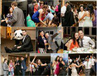 ct wedding photographer