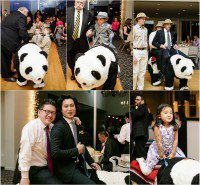 ct wedding photographer