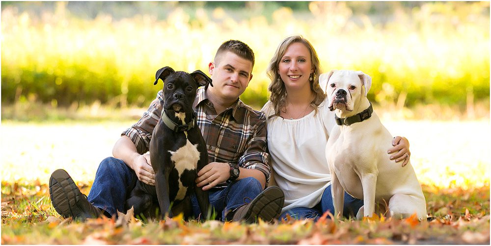 engaged engagement dog