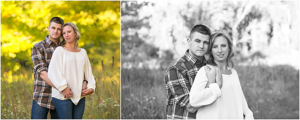 engaged engagement dog