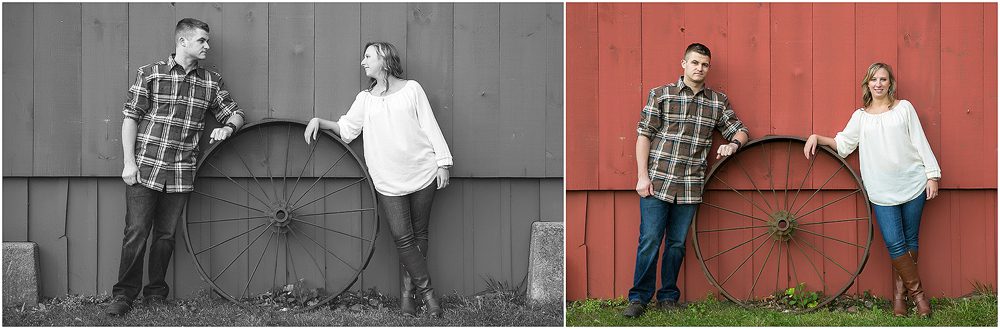 engaged engagement dog