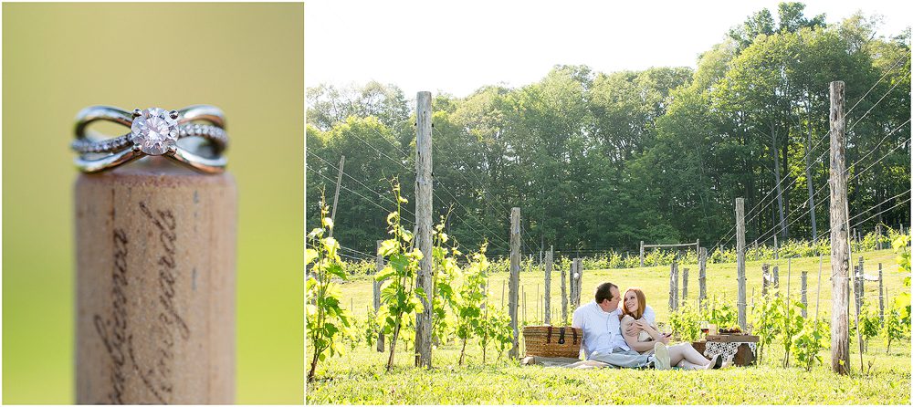 Mel and Scott_Engagement_ blog011