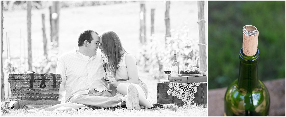 Mel and Scott_Engagement_ blog014