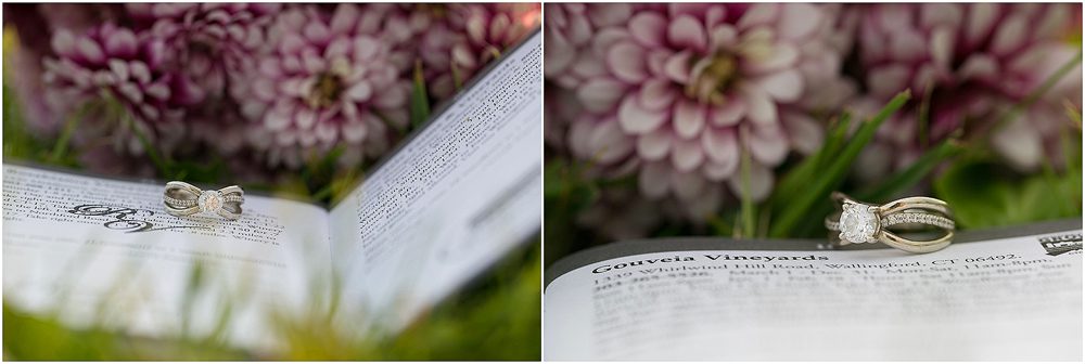 Mel and Scott_Engagement_ blog019