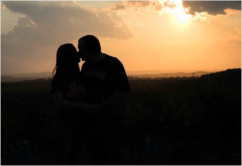 Mel and Scott_Engagement_ blog032