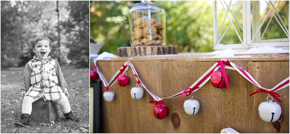 minis_christmas_fall_blog_001