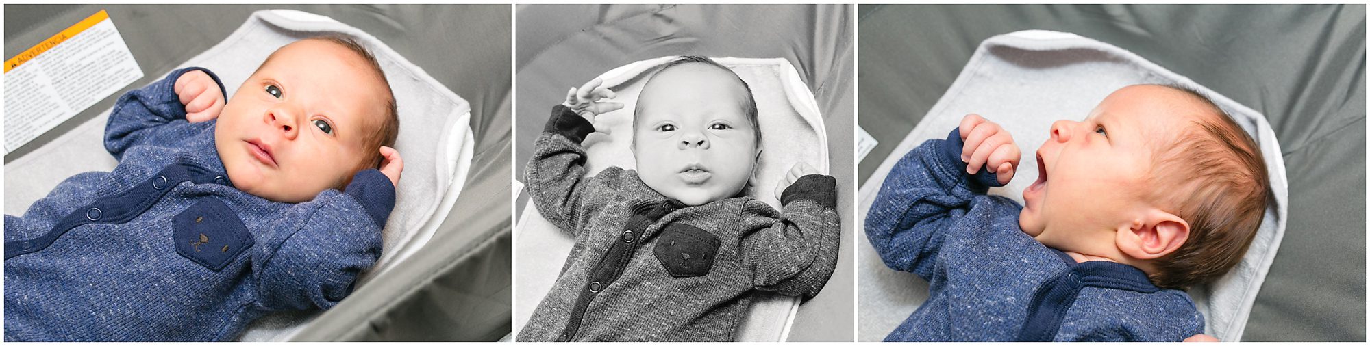 newborn