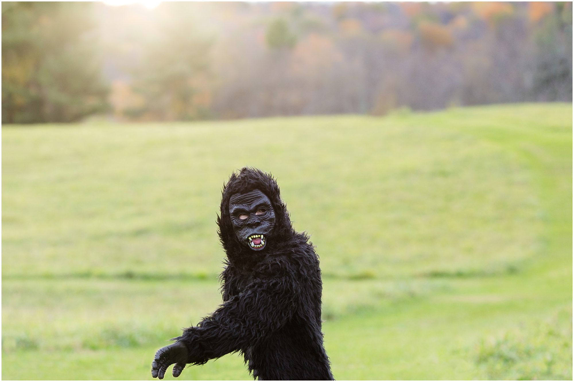 Halloween mini-session