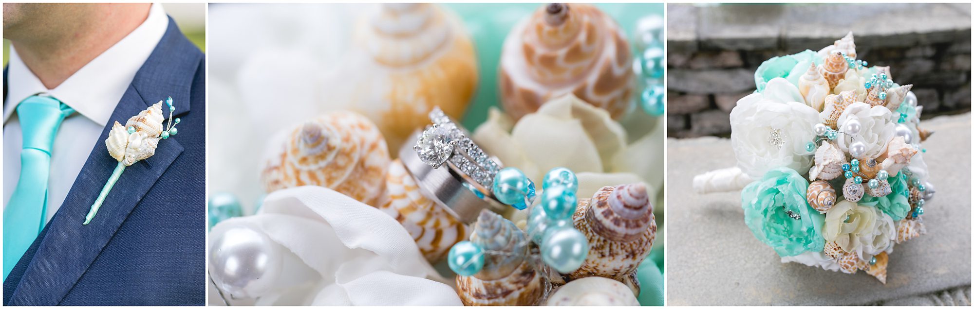 shells rings