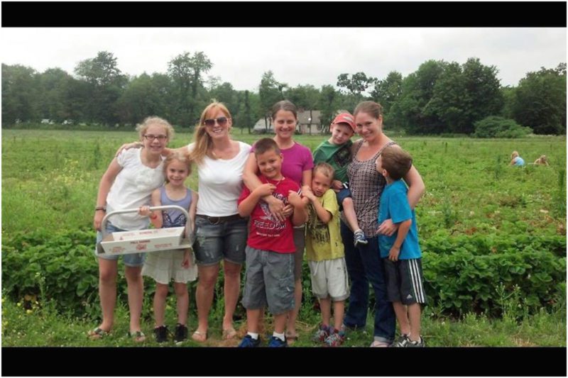 strawberry picking