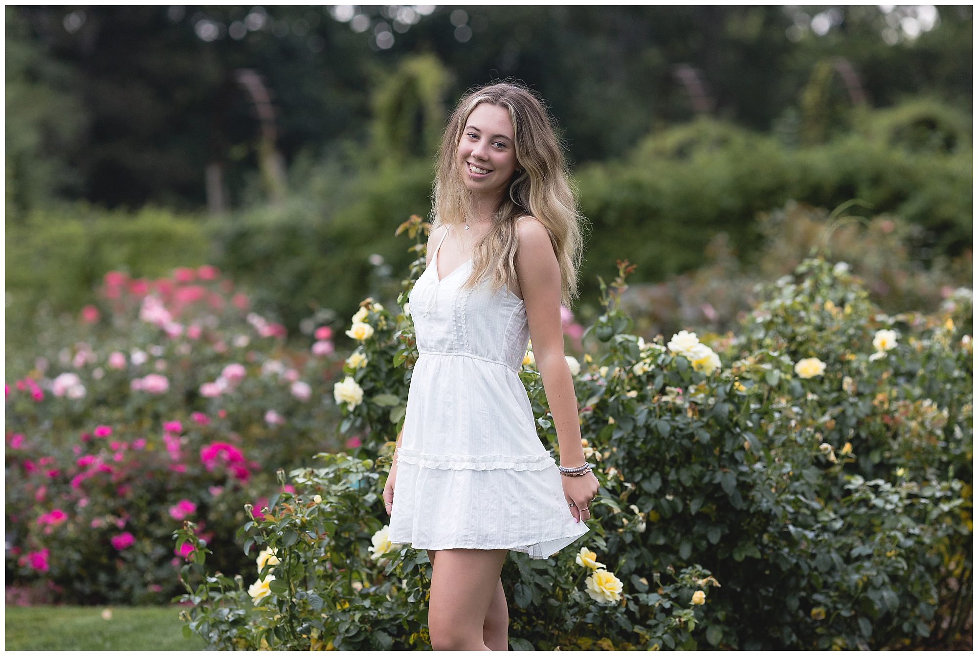 senior portraits rose garden