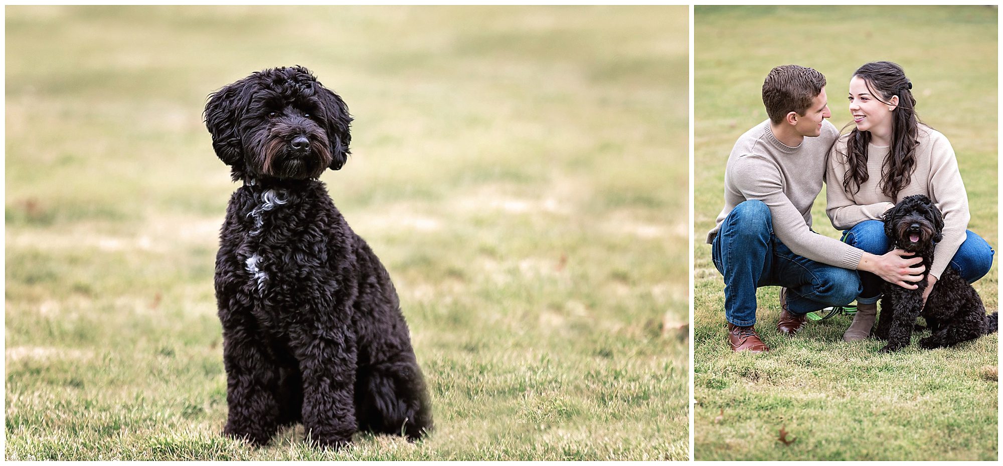 engagement session with dog