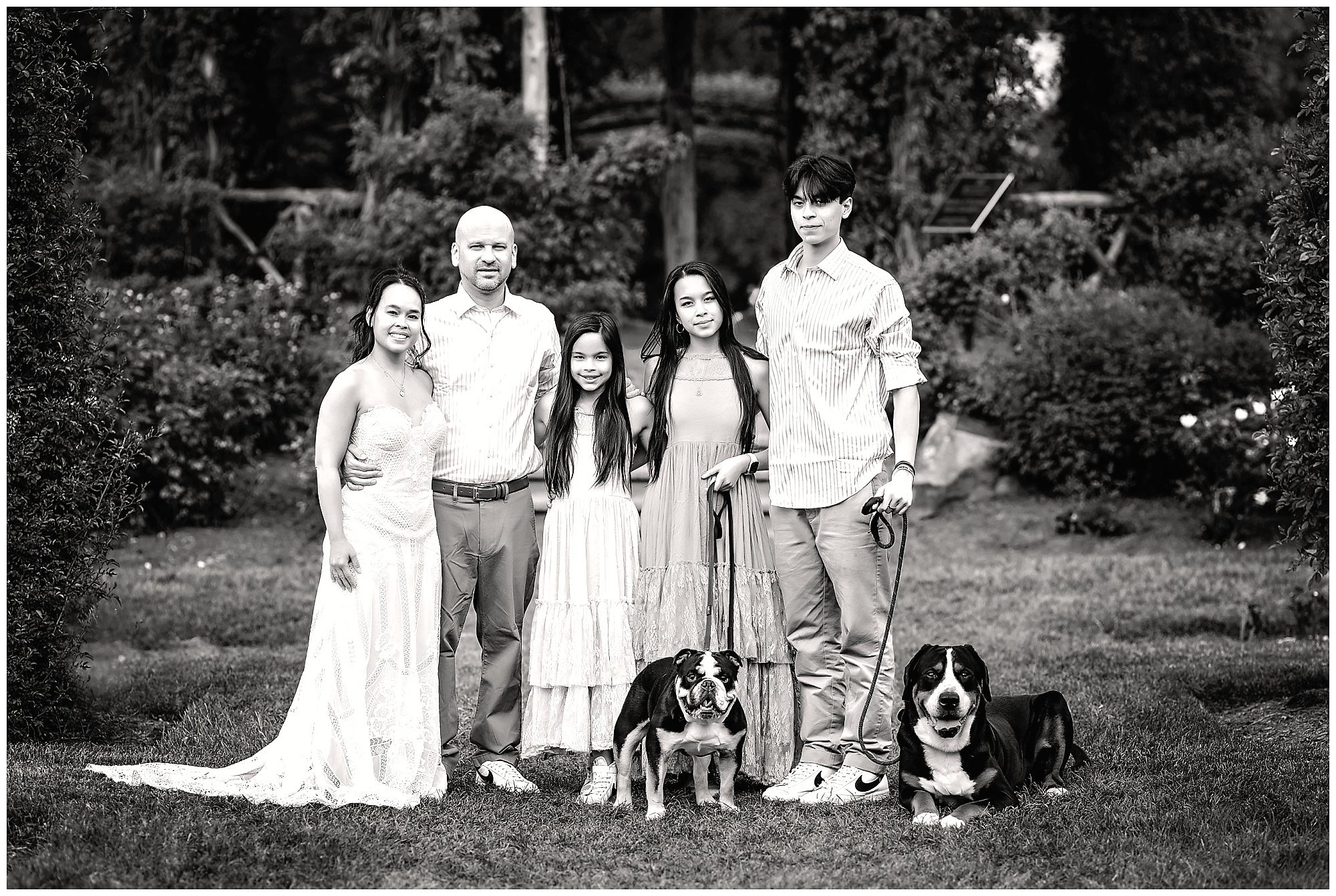 family with dogs