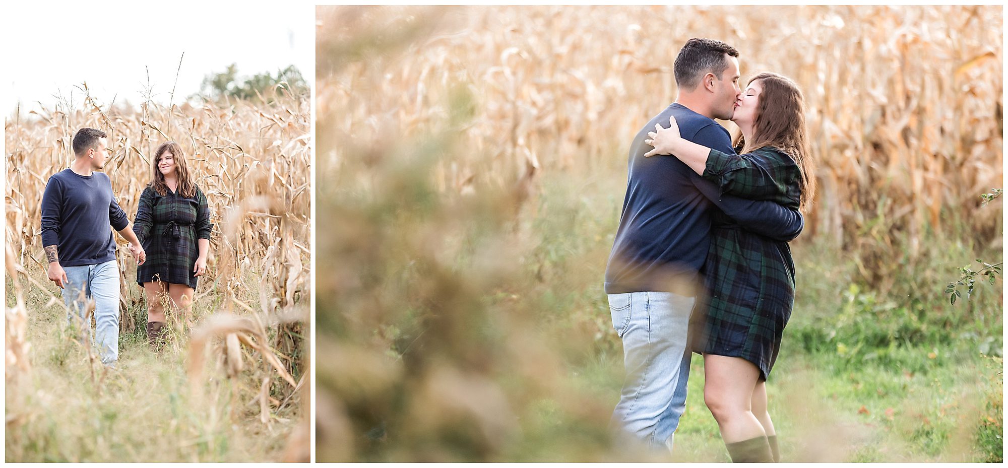 fall engagement session in a cornfield