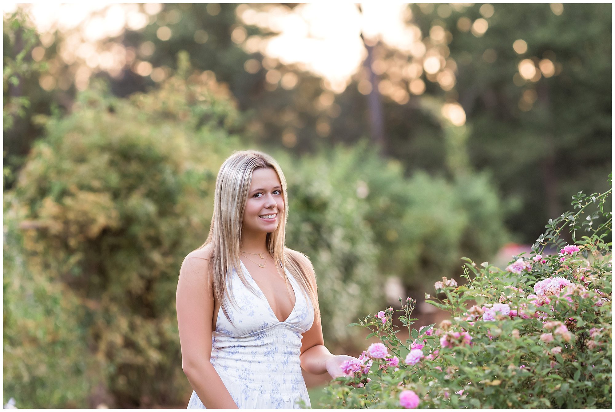 Elizabeth Park senior rose garden