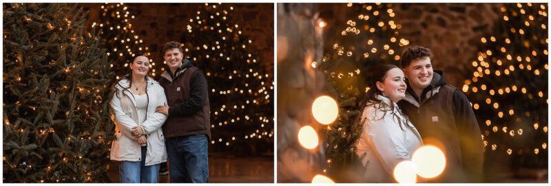 Festival of Silver Lights Engagement Session
