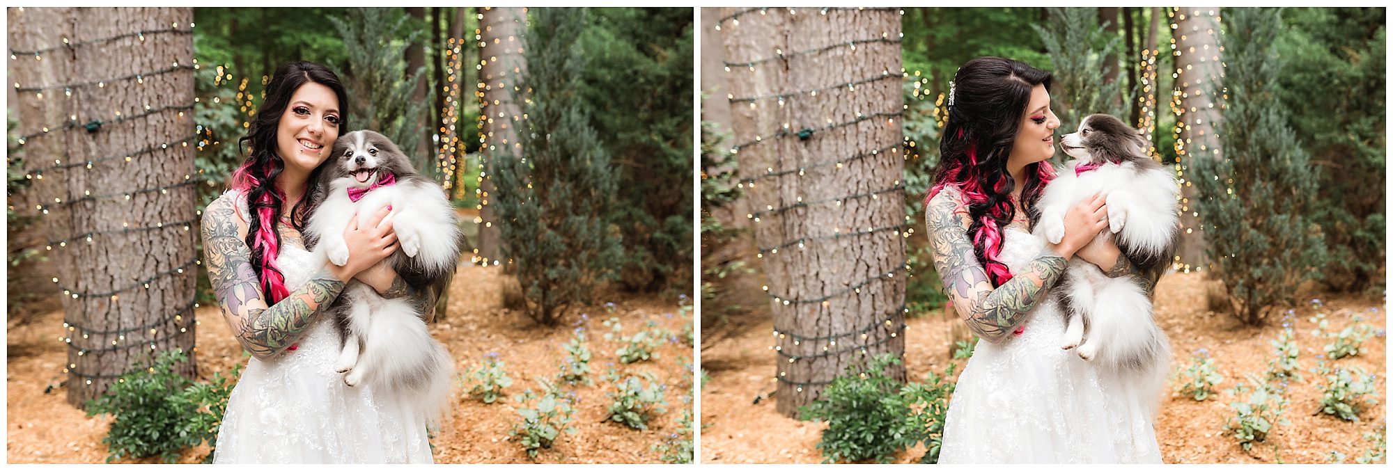 Tunxis Country Club Intimate Wedding bride and dog