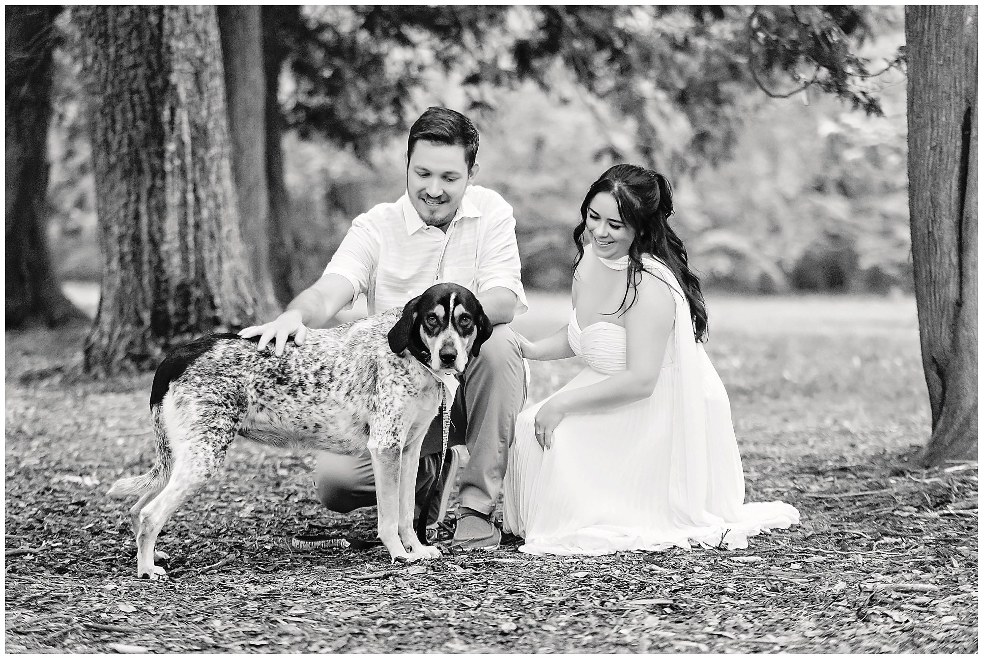 Elizabeth Park Engagement with dog