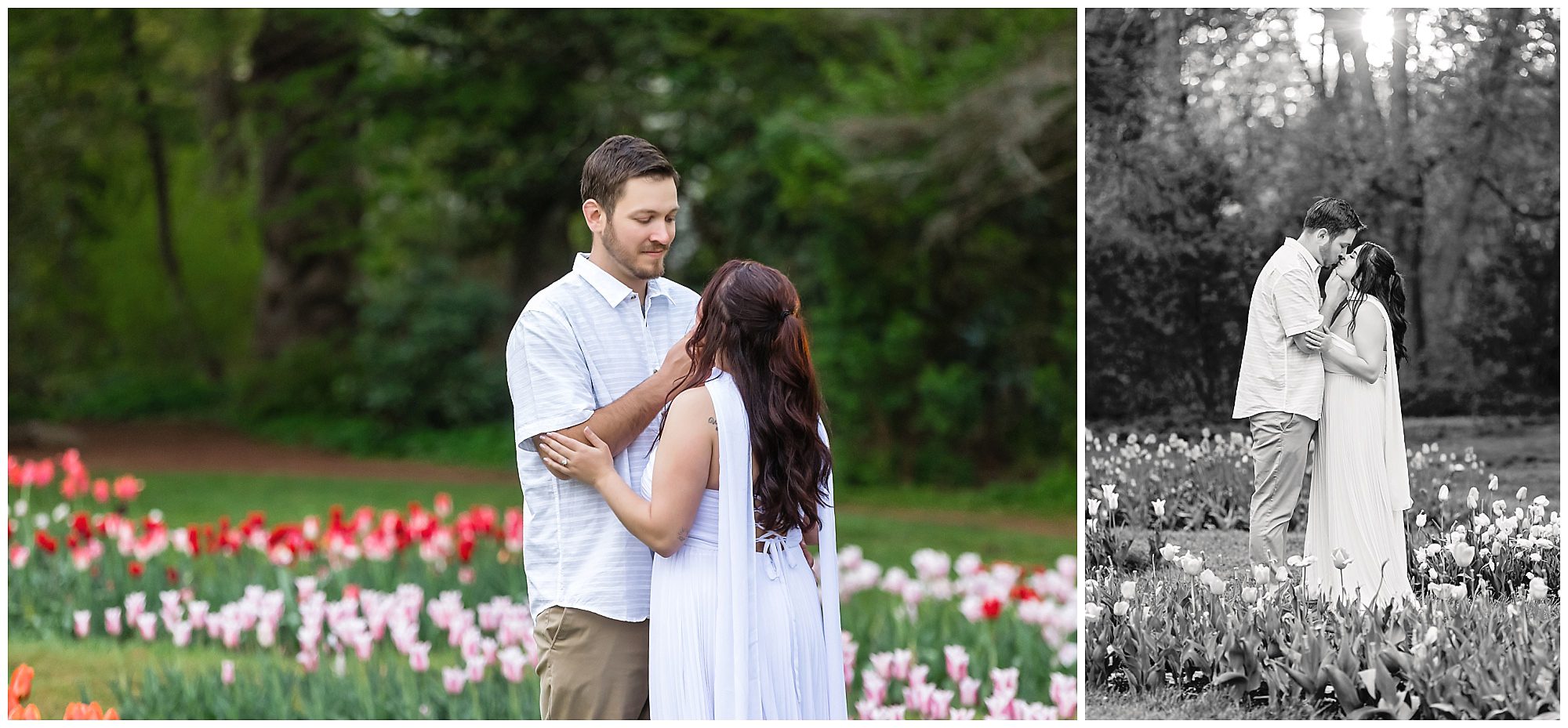 Elizabeth Park Engagement Sunset tulips spring