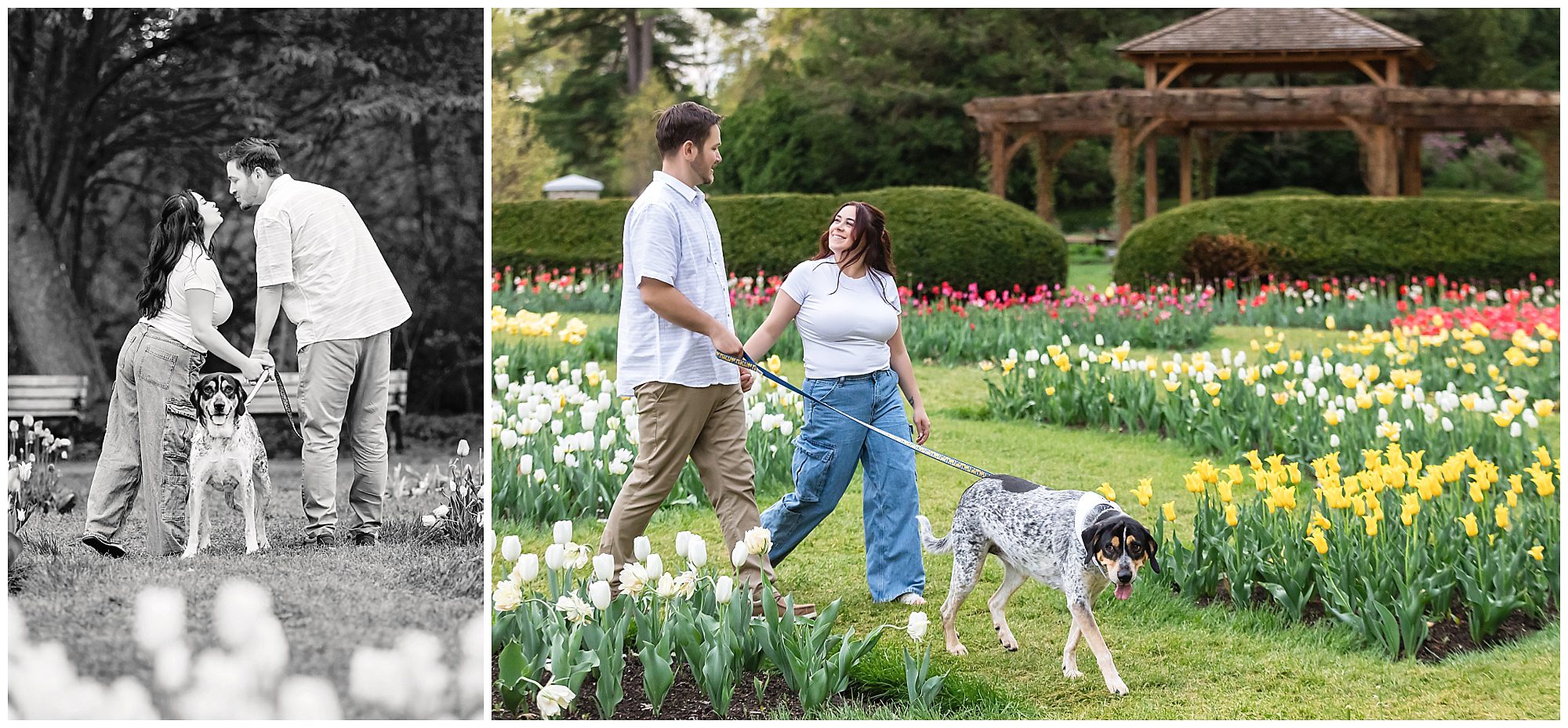 Elizabeth Park Engagement Session in the spring with the couple's dog