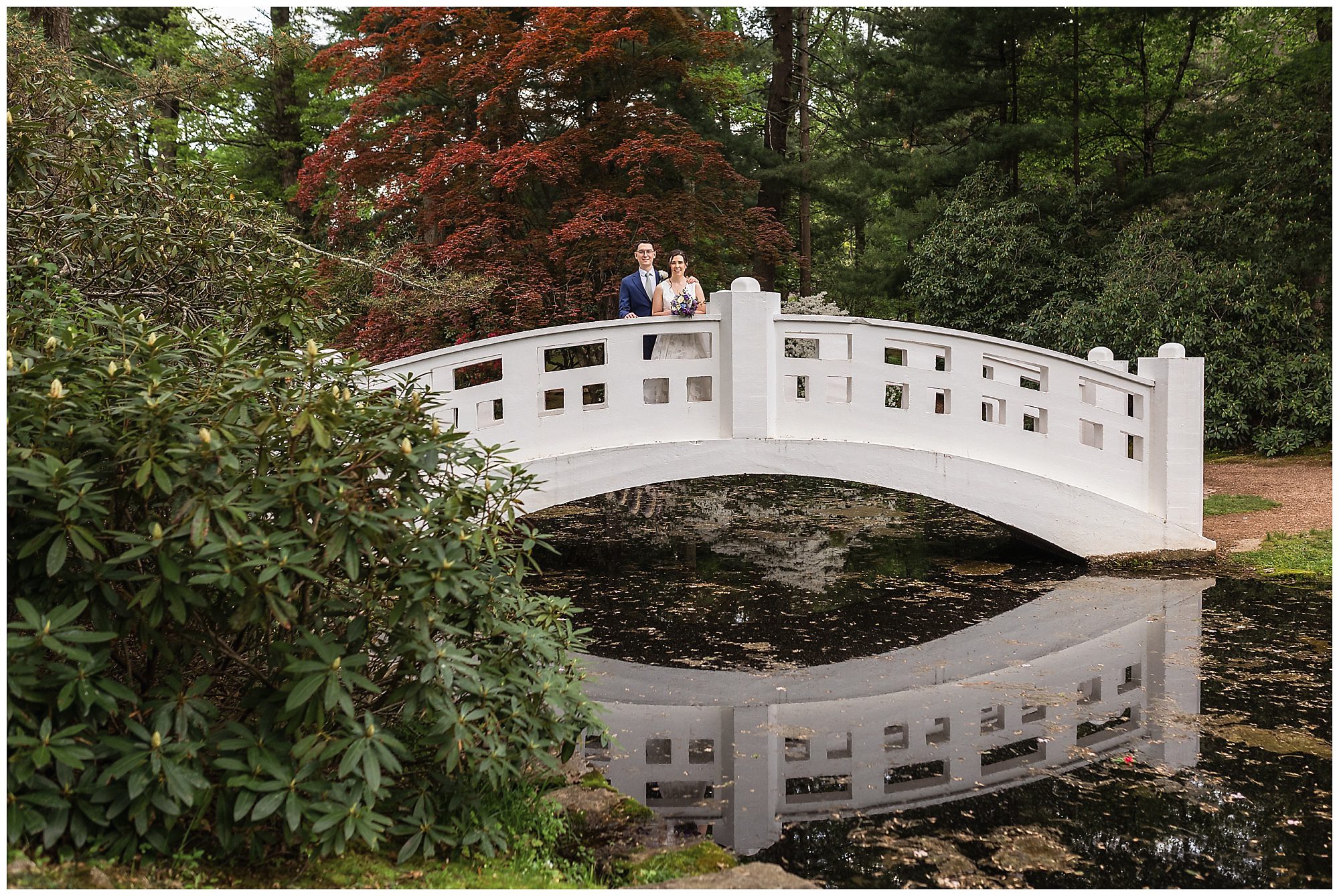 Wickham Park elopement portraits bridge