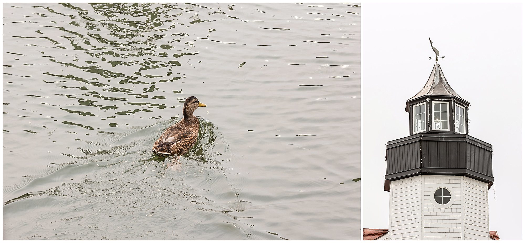 Waterfront wedding at Saybrook Point Resort and Marina
