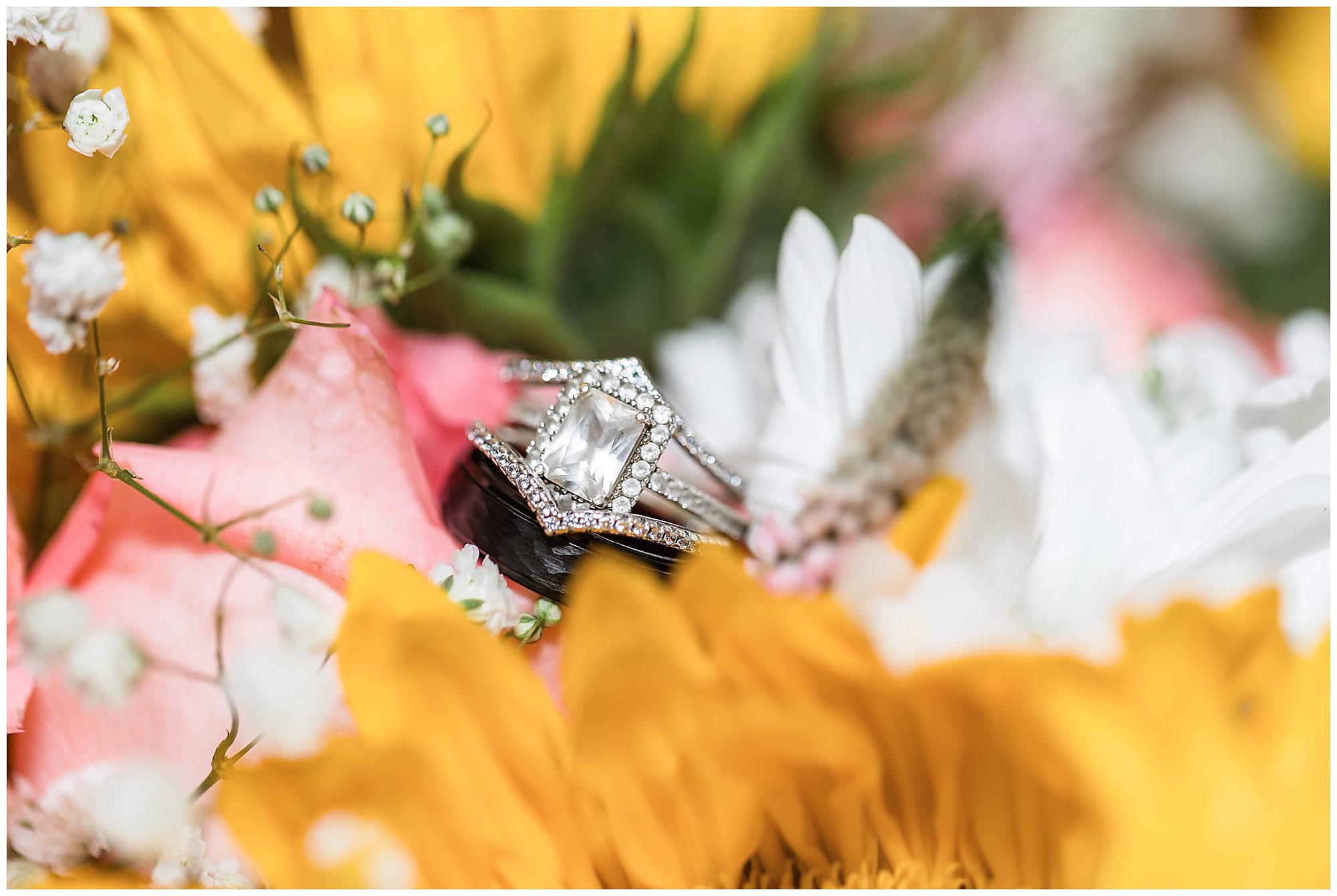 Wood Acres Farm Intimate Wedding rings